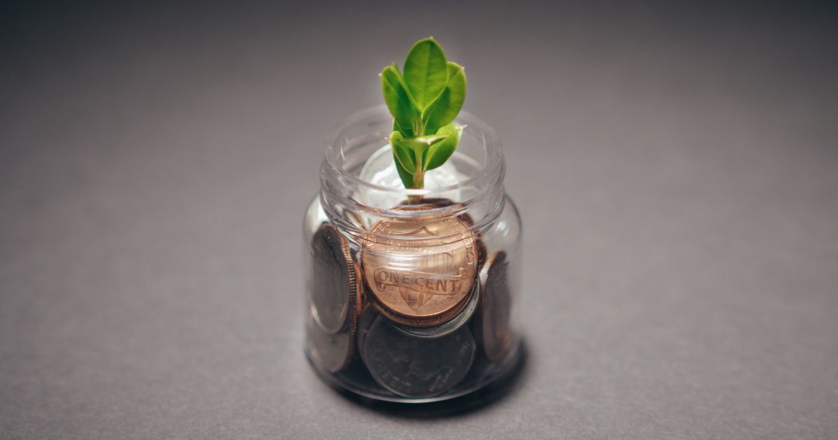 A green plant growing out of a glass jar filled with coins